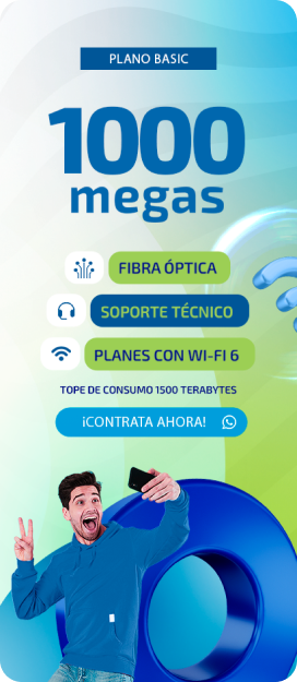 Plan 1000 megas